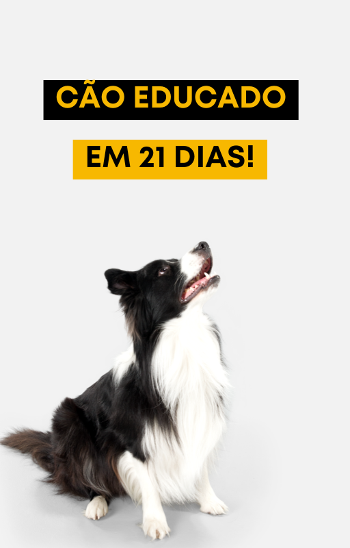 Capa do ebook Cão Educado em 21 Dias